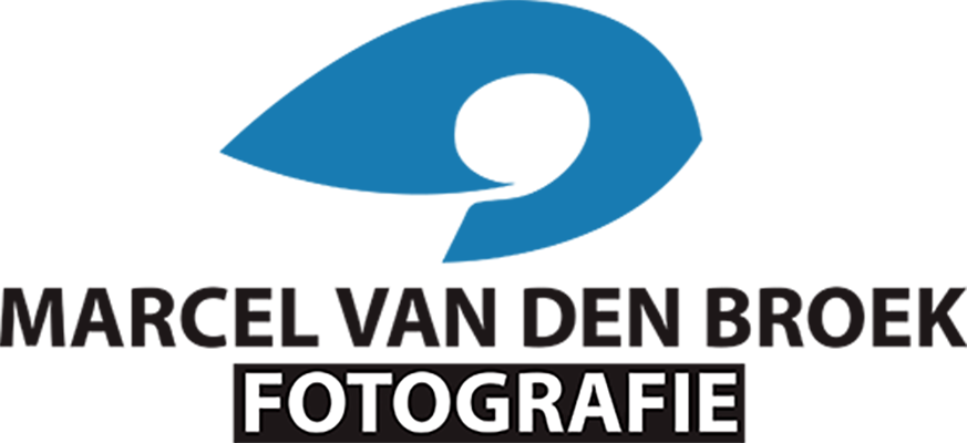 Photo Gallery